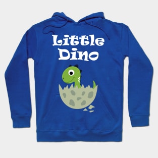 Boys Birthday Dinosaur Hoodie